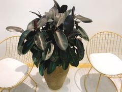 -执茶识麦(万达华府店)