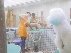 -神采飞扬宠物美容(香港路店)