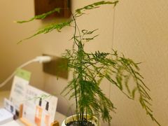 -隐溪茶馆(静安寺店)