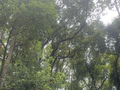 -宅里香.自然餐厅(湘大店)