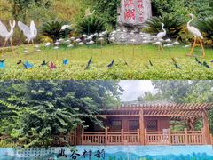 -广州白江湖森林公园