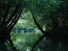 -西湖游船