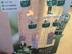 -大头椰·椰子鸡火锅(新梦店)