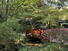 -中国茶叶博物馆(双峰馆区)