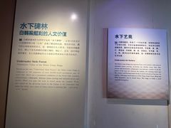 -白鹤梁水下博物馆
