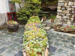 -寂照庵