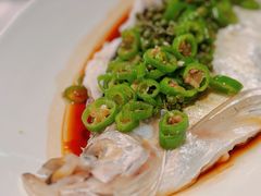 秘制鲜椒蒸富贵春翘嘴-桂满陇·海市蜃楼·黑金(国金店)