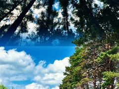 -长春净月潭风景名胜区