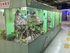 -上海大自然野生昆虫馆(东方明珠·爬宠昆虫探索中心)