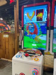 -卡通尼·Safari非洲探索乐园·生日会(金桥国际商业广场店)