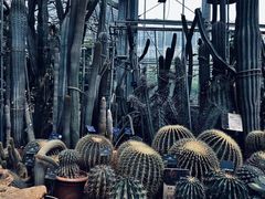 -国家植物园南园