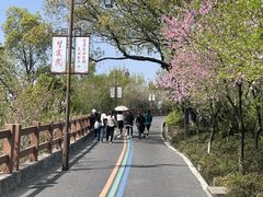 -杭州半山国家森林公园