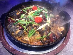 老板恋上鱼-老板恋上鱼(恒隆广场店)