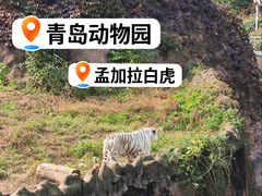 -青岛动物园