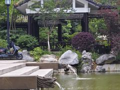 -墨池公园