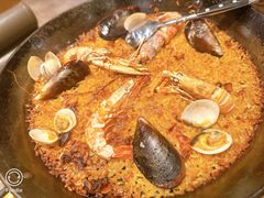 -Tapa Tapa