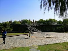 -同里国家湿地公园