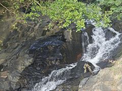 -锄山村