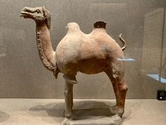 -敦煌市博物馆