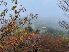 -莫干山风景区
