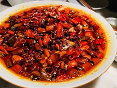 -初蓉丨遇见新川菜(亲贤街荣耀店)