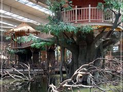 -南宫五洲植物乐园