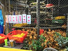 -荔城生鲜盛宴(番禺旗舰店)