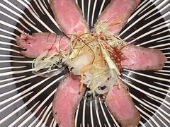 -牛道·和牛九食(市府恒隆广场店)