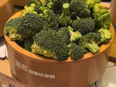 -龍歌自助小火锅(崂山丽达店)