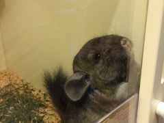 -龙猫仔乐园(惠福东路店)