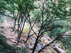 -黑龙潭风景区