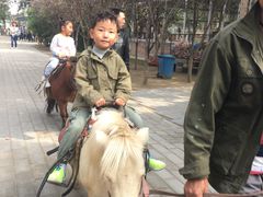 -1982农场