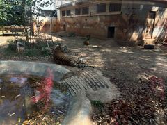 -昆明动物园