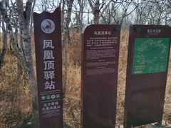 -凤凰山国家森林公园