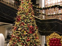 -上海苏宁宝丽嘉酒店·Cafe Bellagio西餐厅