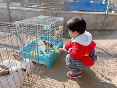 -前小桔亲子创意农场·草莓采摘·露营烧烤