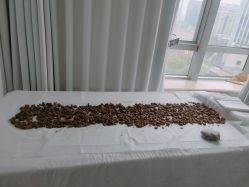 -姜美堂·蒸姜除湿の纤体美颜馆