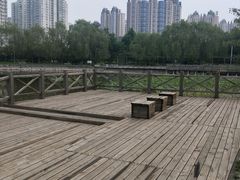 景点-望湖公园