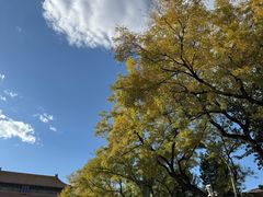 -郭记小街麻辣烫(南小街总店)