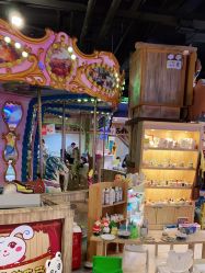 -卡通尼·Safari非洲探索乐园·生日会(金桥国际商业广场店)