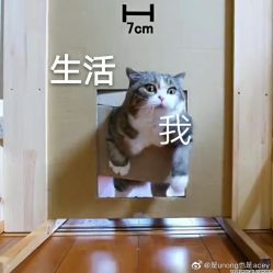 -川和潮人漂色·烫染·接发