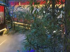 -二荆条·蜀鲜汇城市森林火锅