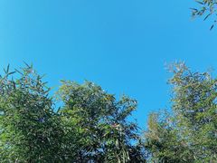 -威海天沐温泉度假区