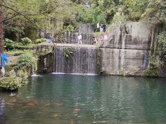 -千岛湖东南湖区