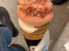 -代数学家algebraist(苏州中心店)