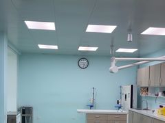 -北京观赏动物医院·24小时大型综合·猫专科·异宠专科