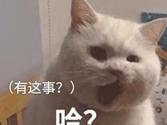 -八合里牛肉火锅(新洲店)