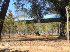 -秦皇岛野生动物园