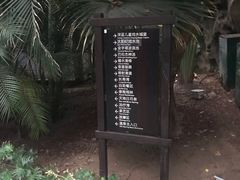 -龙达温泉生态城