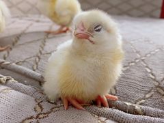 -兴芮温泉度假区